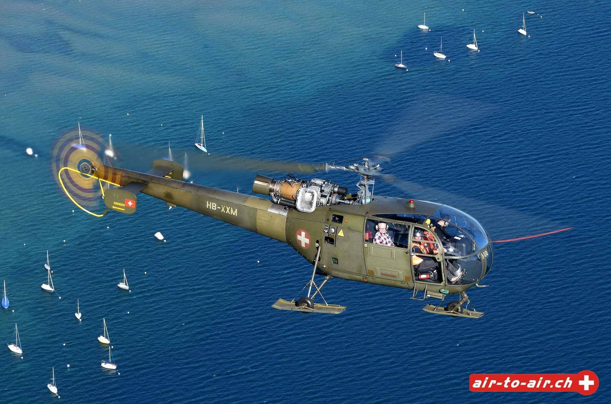 laouette über dem Thunerseee